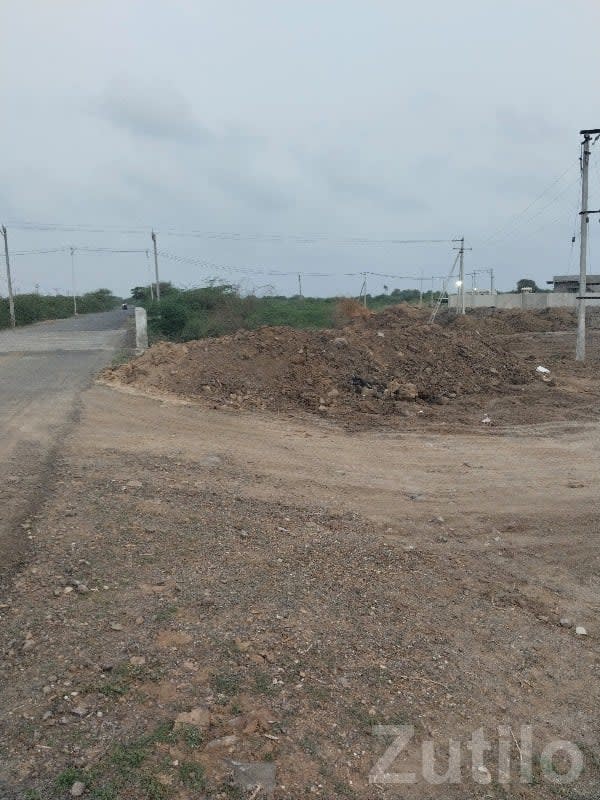 Road Touch Open Plot in Kutiyana - જમીન અને પ્લોટ - કુટિયાણા - Image 1