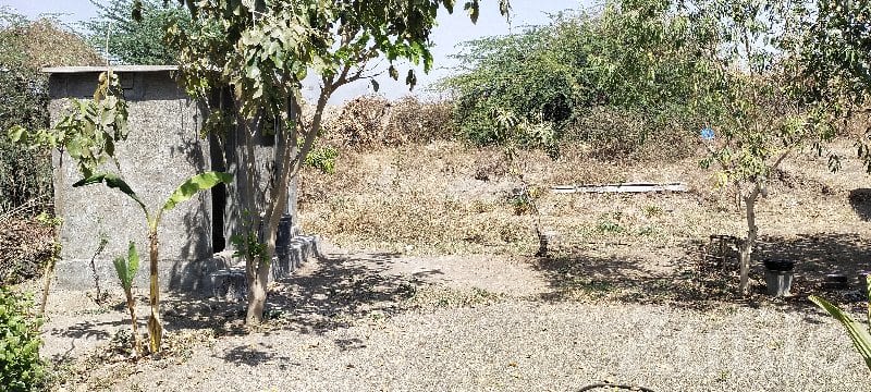Gausala / Stable Land with Shed - Land & Plots - Rajkot City - Image 2