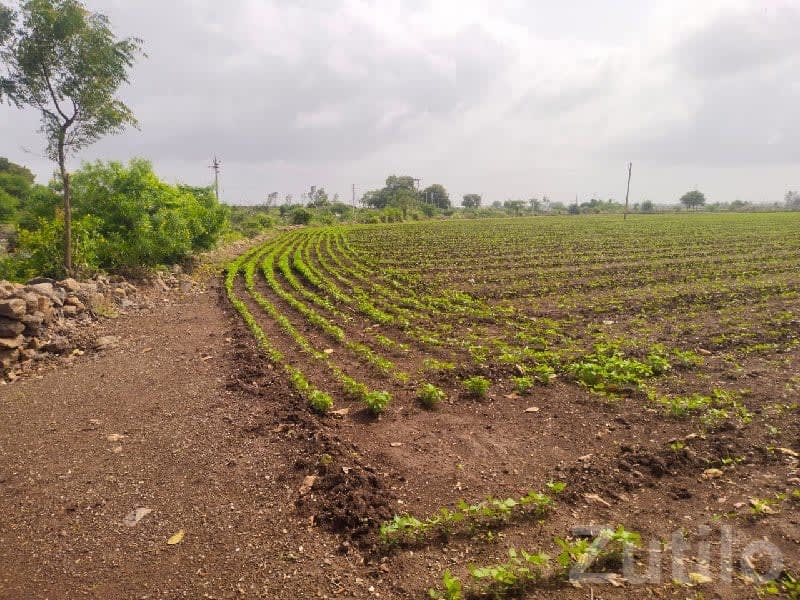 Highway Touch 8 Vigha Farmland Plot - Land & Plots - Virpur - Image 1