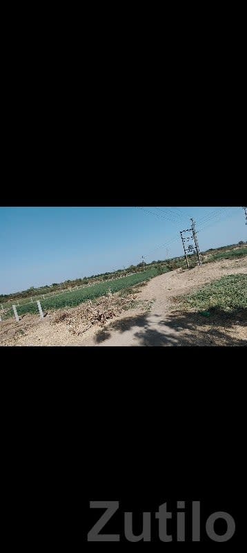 Green Agricultural Land for Sale Rajkot - Land & Plots - Rajkot City - Image 2