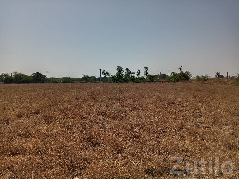 Open Agricultural Land Plot for Sale - જમીન અને પ્લોટ - તલાલા - Image 1