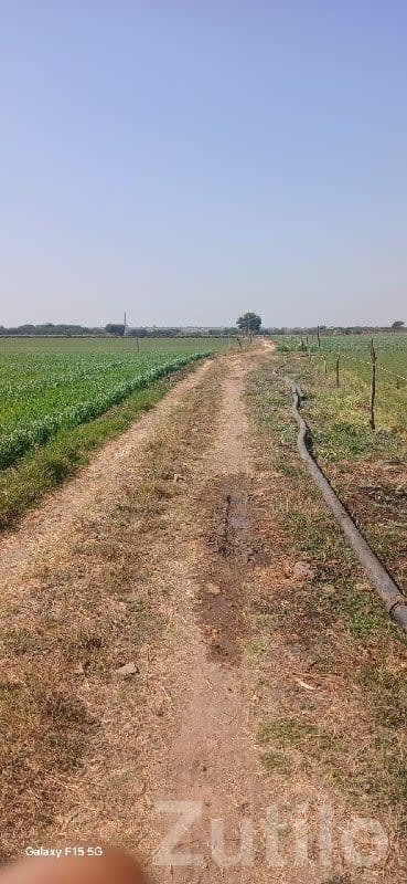 Fertile Agricultural Land in Kutiyana - Land & Plots - Kutiyana - Image 1