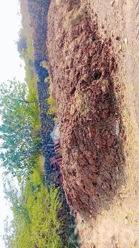 Organic Farm Manure for Sale - Land & Plots - Ranavav - Image 1