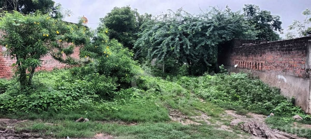 Gandhinagar Walled Green Residential Plot - Land & Plots - Gandhinagar City - Image 1