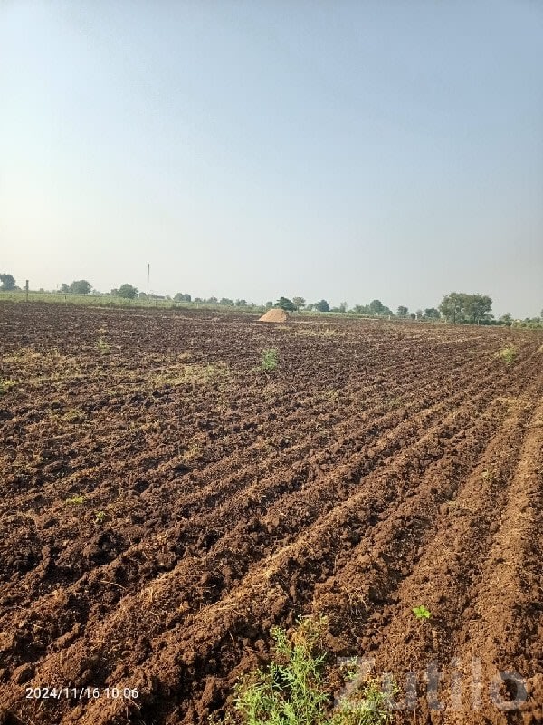 Rajkot Fertile Agricultural Land for Sale - Land & Plots - Rajkot City - Image 1