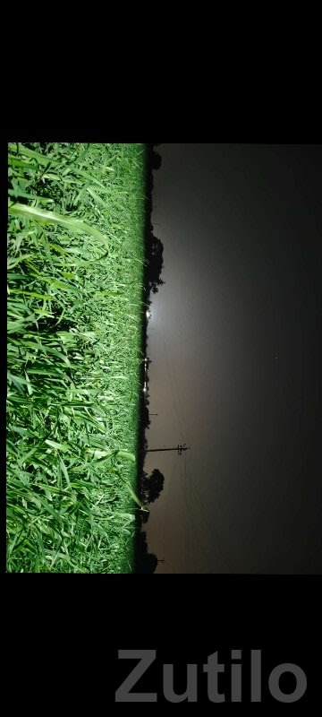 Highway Touch Fertile Agricultural Land - જમીન અને પ્લોટ - મેન્ડરડા - Image 1