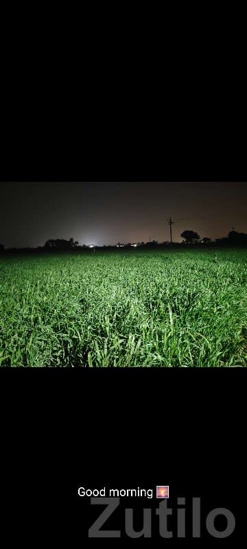 Highway Touch Fertile Agricultural Land - જમીન અને પ્લોટ - મેન્ડરડા - Image 2