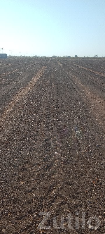 14.5 Bigha Agricultural Land Manavadar - જમીન અને પ્લોટ - માણાવદર - Image 1