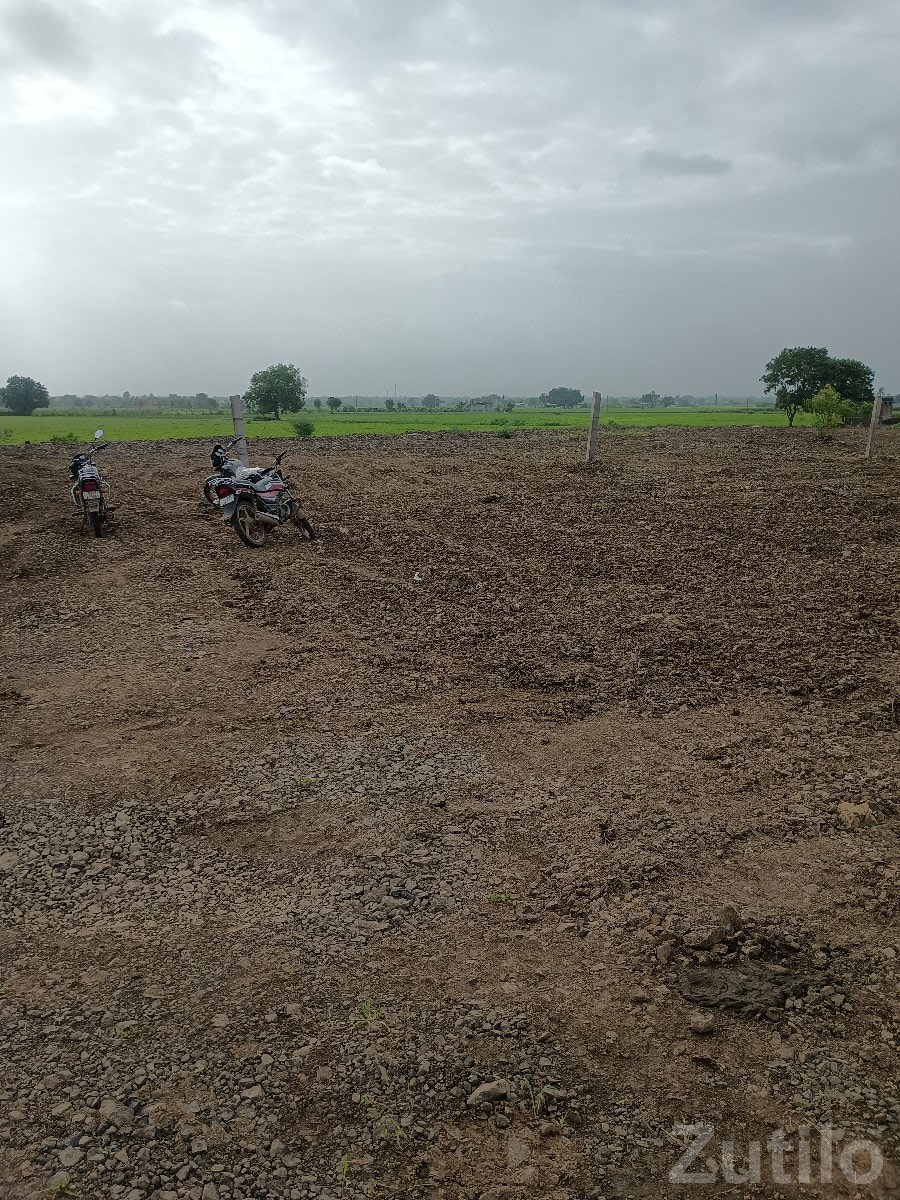 Roadside Land for Lease Near Highway - જમીન અને પ્લોટ - ભેસાણ - Image 1