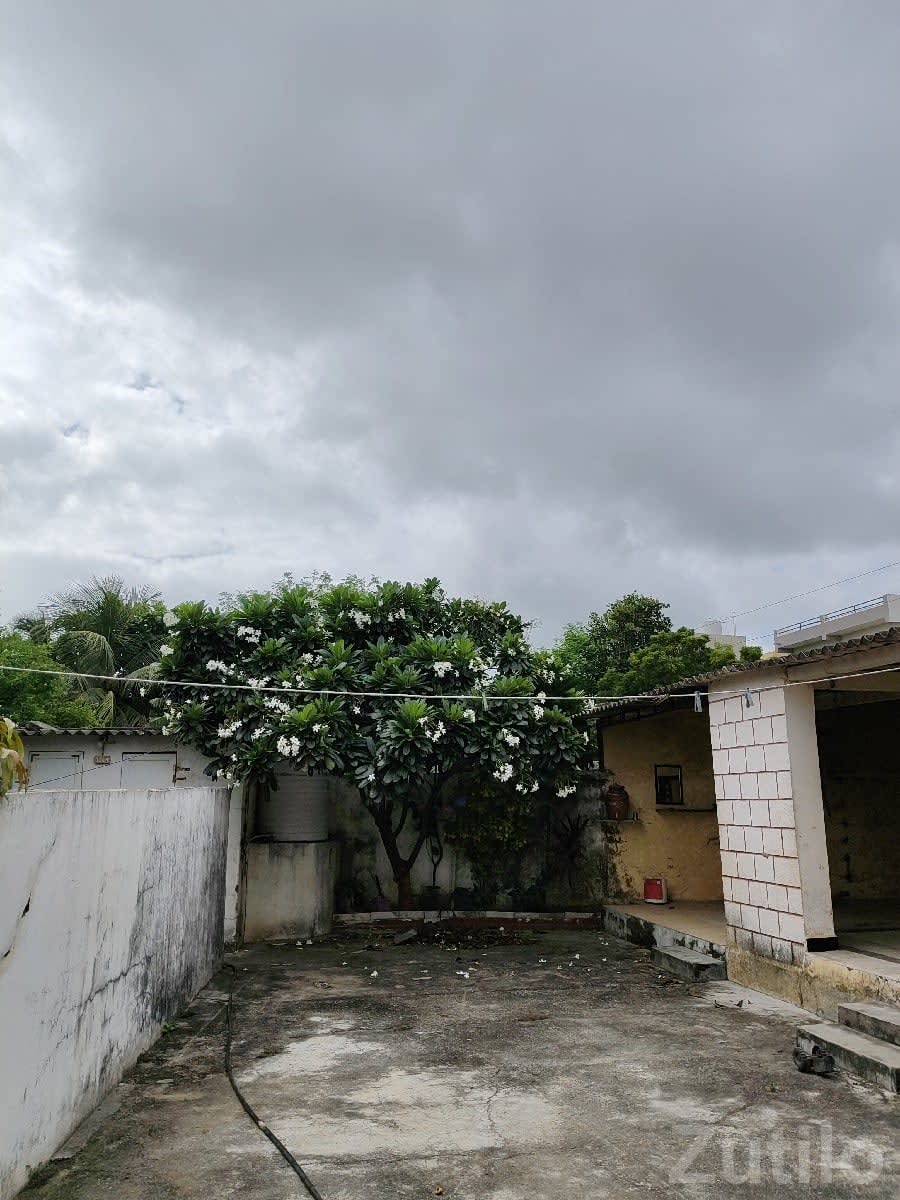 House with Open Yard for Sale in Kalyanpur - ઘર વેચાણ માટે - કલ્યાણપુર - Image 2