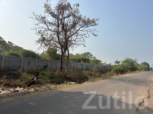 Road Touch 5 Vigha Land for Sale - જમીન અને પ્લોટ - ભાણવ - Image 1