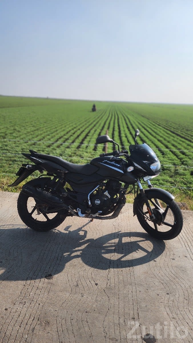 Bajaj Pulsar 125 Black Bike - Bikes - Mangrol - Image 2