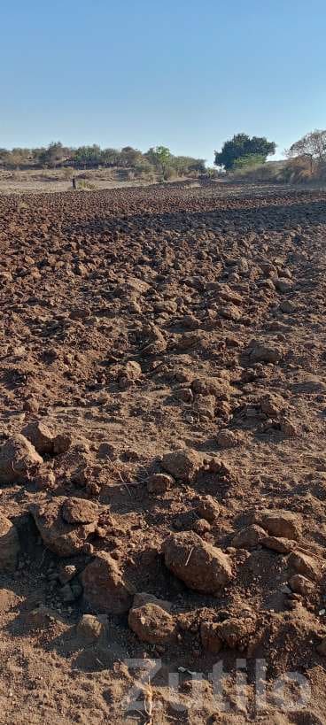 2.5 Vigha Agricultural Land for Sale - જમીન અને પ્લોટ - સાવરકુંડલા - Image 3