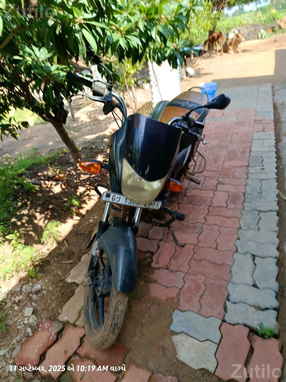 Bajaj Platina Motorcycle for Sale - Bikes - Surendranagar City - Image 2