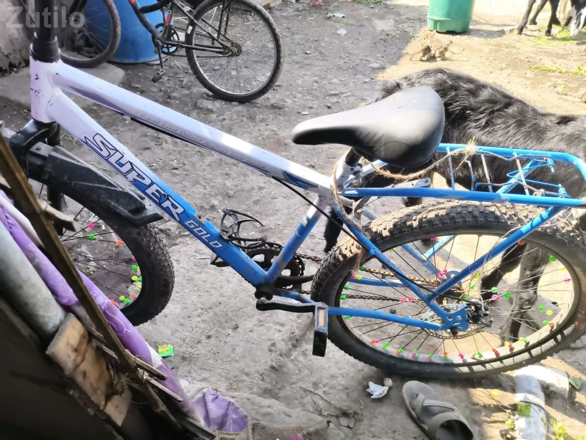 Super Gold Adult Bicycle - પુખ્ત વયના માટે સાયકલ - જામજોધપુર - Image 1