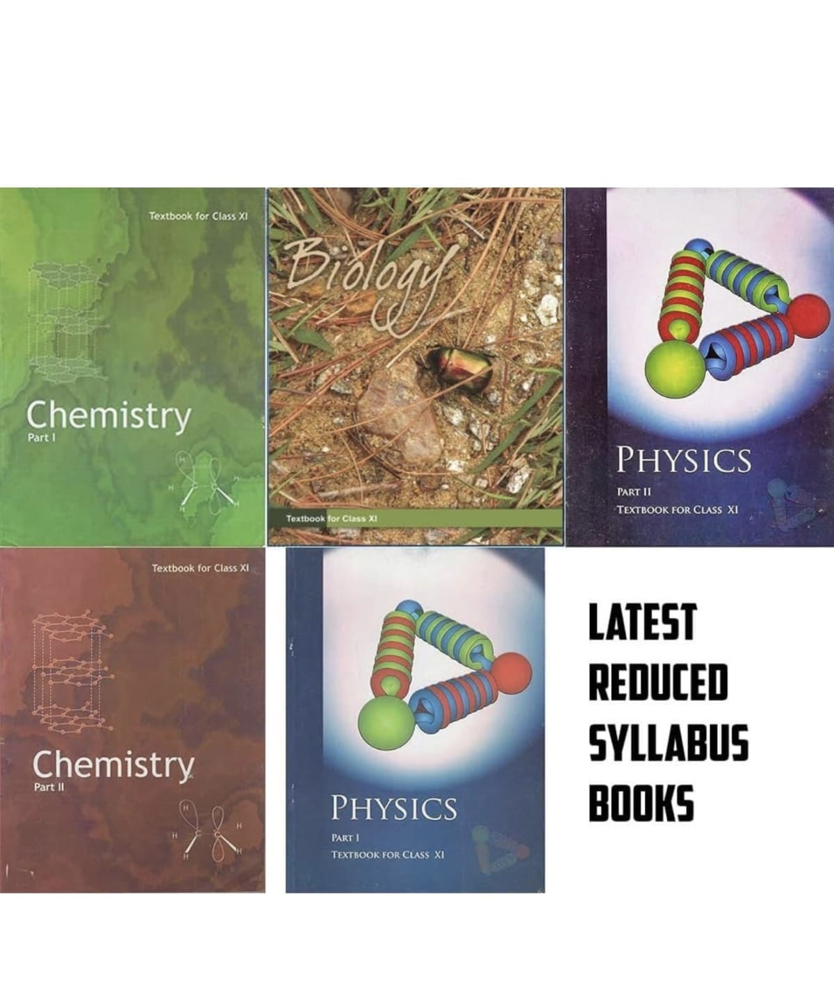 All class 11th ncert - School Books - Rajkot City - Image 1