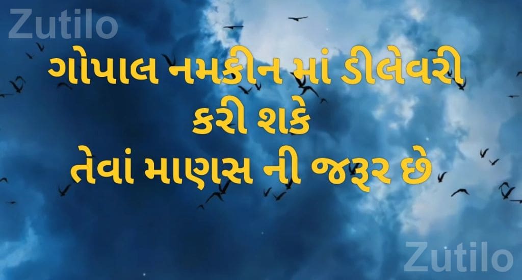 Delivery Staff Needed for Gopal Namkeen - Driver / Delivery - Rajkot City - Image 1