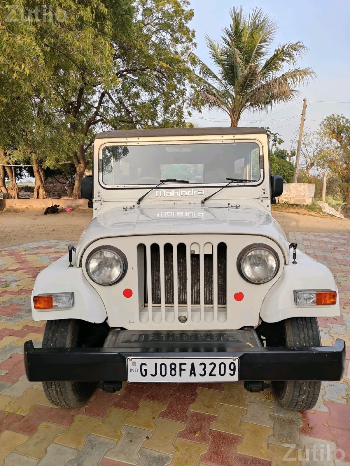 Mahindra Thar DI 2012 White SUV - કાર - પાલનપુર - Image 1