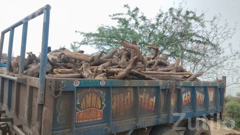 Cargo Auto Rickshaw Carrier Without Book - Auto Rickshaws - Rajula - Image 2