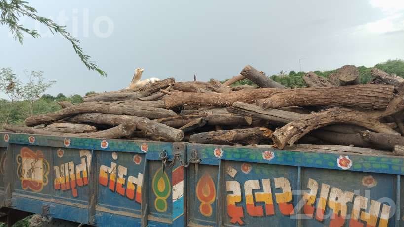 Cargo Auto Rickshaw Carrier Without Book - Auto Rickshaws - Rajula - Image 5