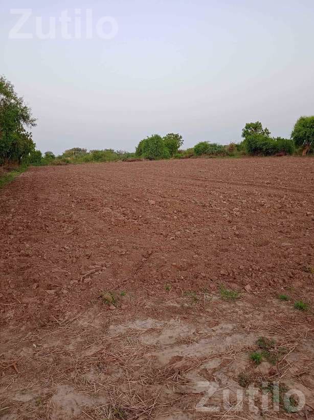 4 Vigha Agricultural Land for Sale - જમીન અને પ્લોટ - ચાણસ્મા - Image 3