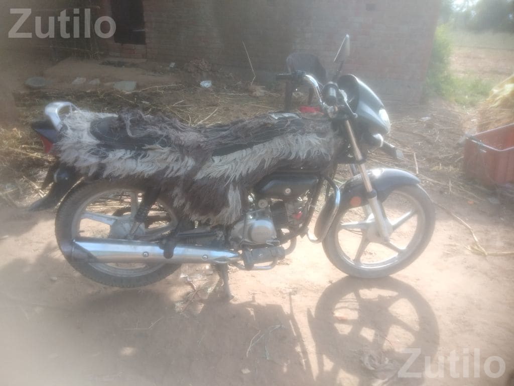 Black Hero Bike 2023 Model - Bikes - Petlad - Image 4