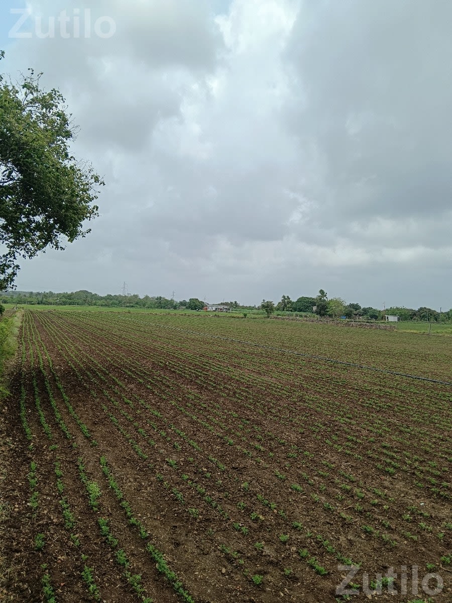 Five Vigha Agricultural Land with Well and Drip - Land & Plots - Dhokadva - Image 1