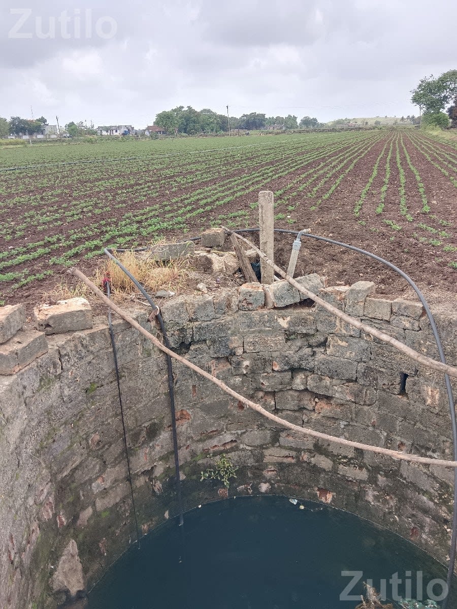 Five Vigha Agricultural Land with Well and Drip - Land & Plots - Dhokadva - Image 2