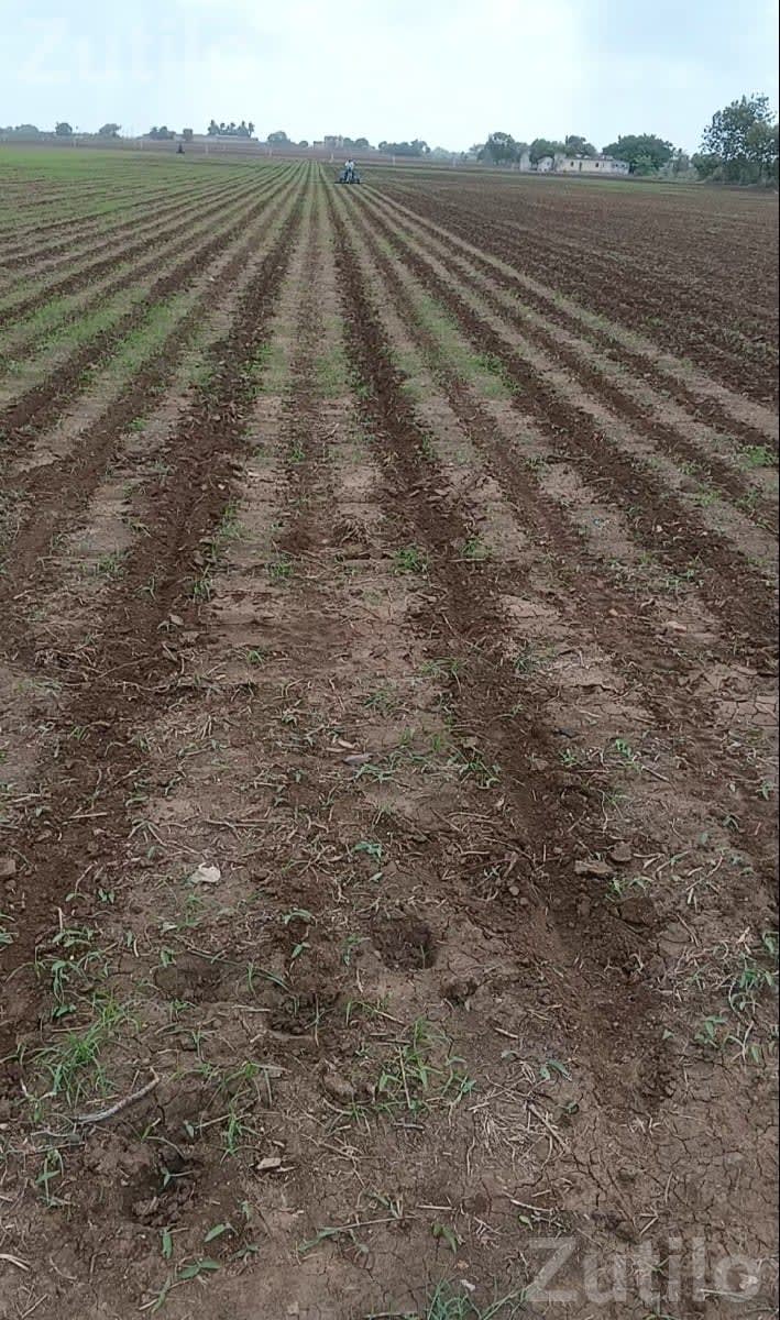 Experienced Farm Worker Needed - Labour / Helper - Junagadh City - Image 1