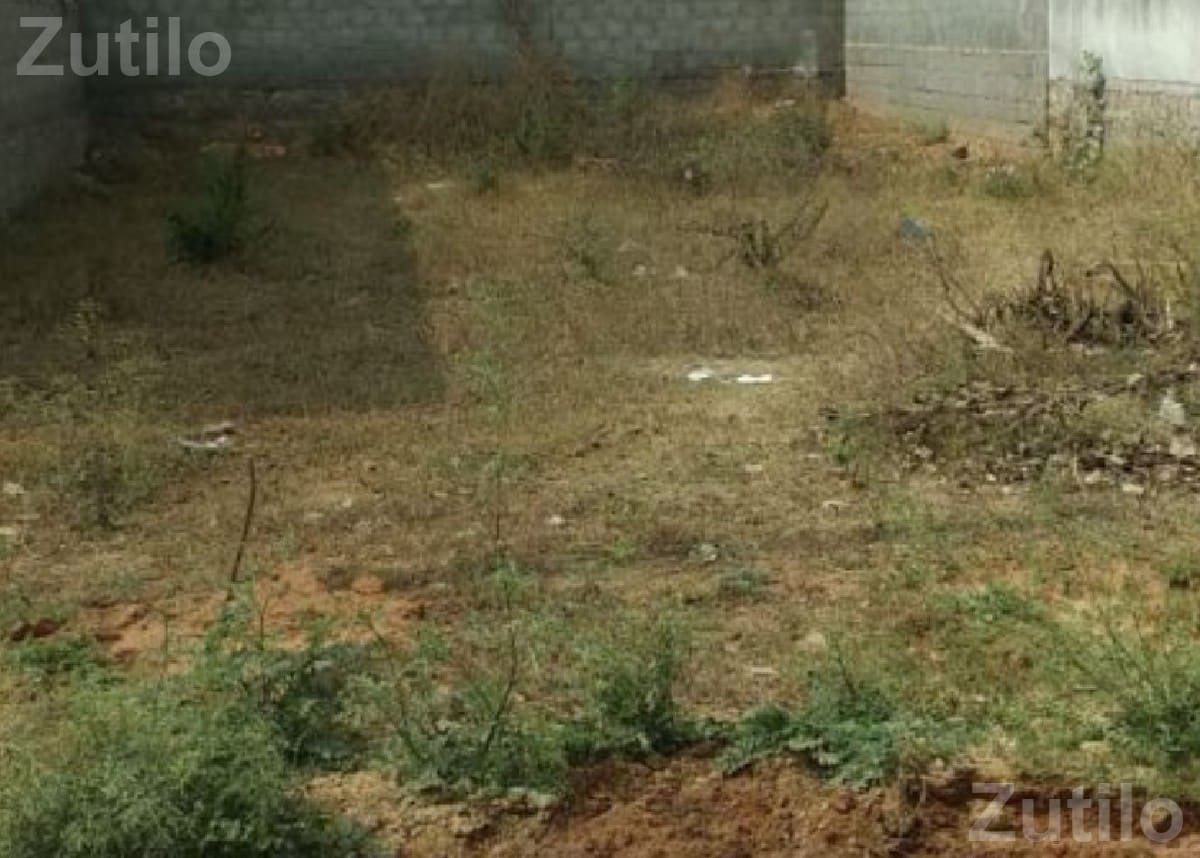 86 Var Residential Plot for Sale - Land & Plots - Manavadar - Image 1