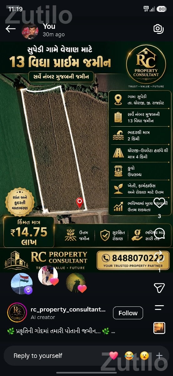 13 Vigha Agricultural Land with Well - જમીન અને પ્લોટ - ધોરાજી - Image 1