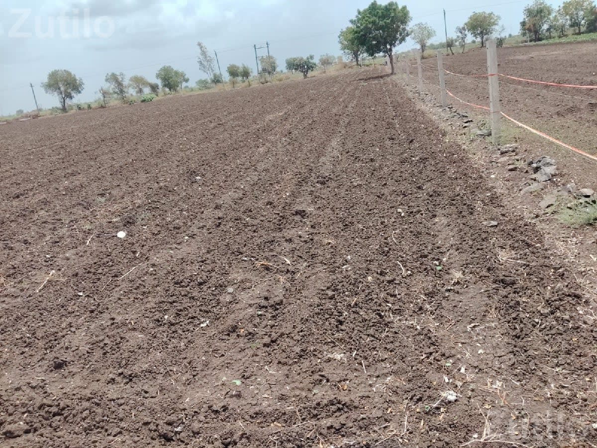 Agricultural Land for Sale - Land & Plots - Wankaner - Image 3