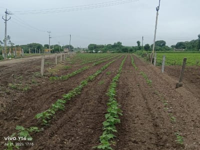 1એકર જમીન રોડ ટચ 1એકર જમીન રોડ ટચ