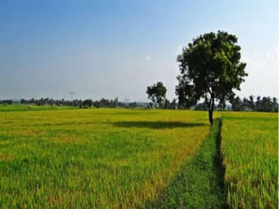 જમીન લે વેચ જમીન લે વેચ
