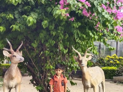 જમીન વેચવાની છે જમીન વેચવાની છે