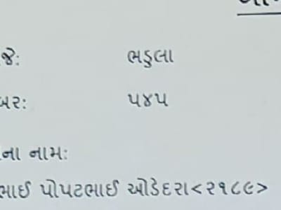 7 vigha 7 vigha