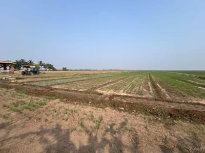 જમીન વેચવાની છે
સોમનાથ દ્વારકા જમીન વેચવાની છે
સોમનાથ દ્વારકા