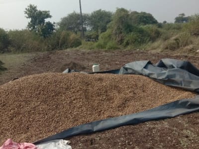 જમીન વેશવાની છે જમીન વેશવાની છે
