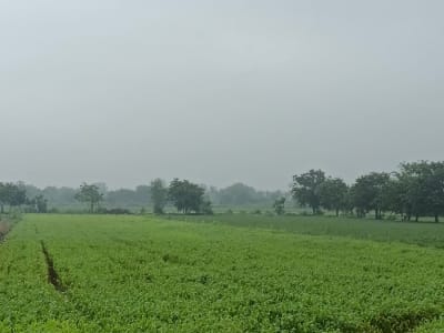 વેચવાની છે વેચવાની છે
