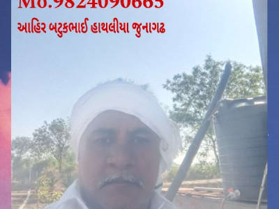 જમીન લે વેચ માટે મળો જમીન લે વેચ માટે મળો