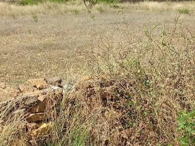 જમીન વેચવાની છે જમીન વેચવાની છે