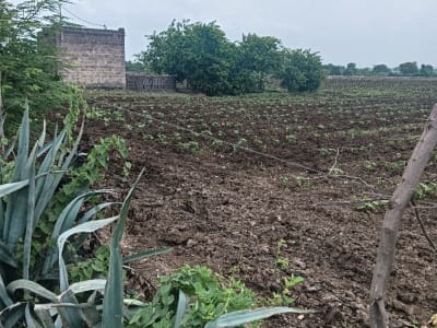 જમીન વેચવાની છે જમીન વેચવાની છે