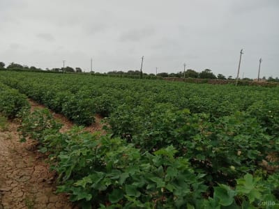 જમીન વેચવાની છે જમીન વેચવાની છે
