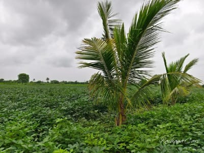 જમીન રોડ ટચ વેચવાની છે. જમીન રોડ ટચ વેચવાની છે.
