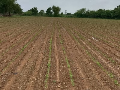 10 વીઘા જમીન વેચવા ની છે 10 વીઘા જમીન વેચવા ની છે