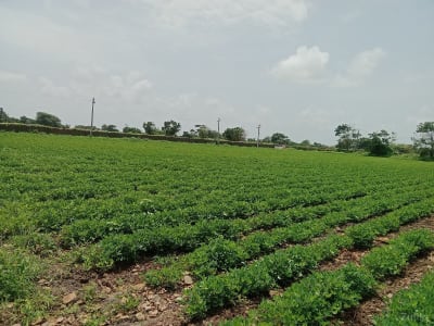જમીન વેચવાની જમીન વેચવાની