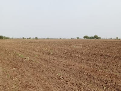 Savarkundla Fertile Agricultural Land Savarkundla Fertile Agricultural Land