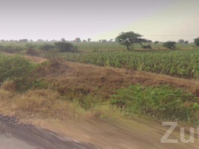 Savarkundla Roadside Farmland Plot for Sale Savarkundla Roadside Farmland Plot for Sale