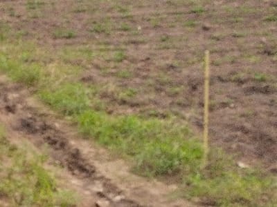 5 Vigha Fertile Agricultural Land, Prasli 5 Vigha Fertile Agricultural Land, Prasli