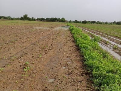 Fertile Agricultural Land Jamjodhpur